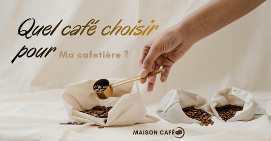 Quel type de café choisir pour ma cafetière ?